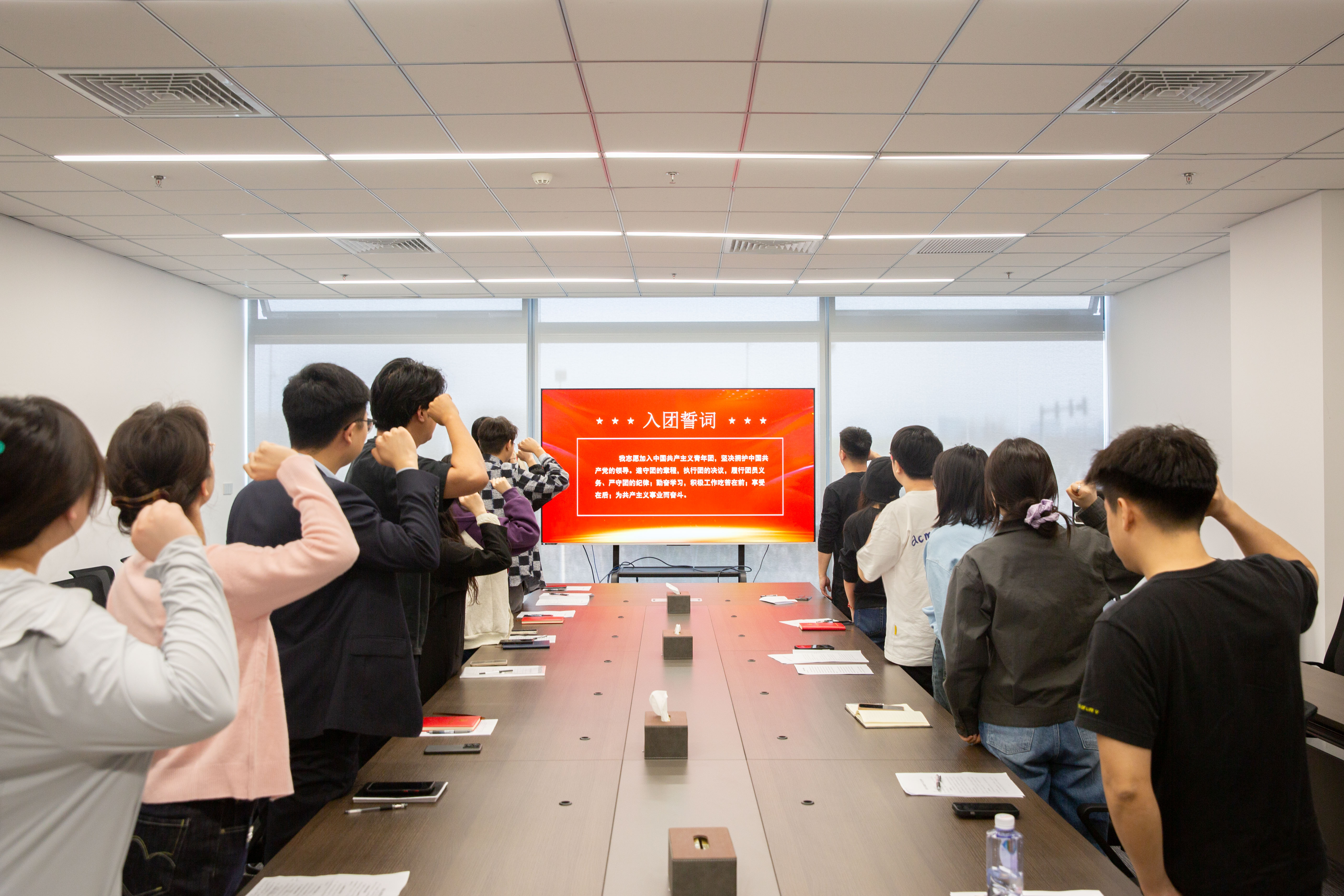 團(tuán)組織生活會(huì)宣誓.jpg